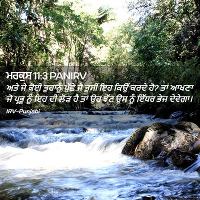 Picture 02 - ਮਰਕੁਸ 11:3 PANIRV - ਅਤੇ ਜੇ ਕੋਈ ਤੁਹਾਨੂੰ - Bible Verse Picture