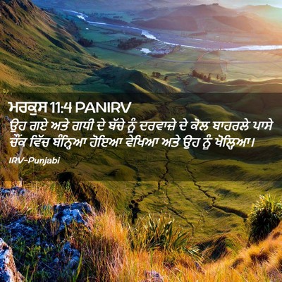 Picture 02 - ਮਰਕੁਸ 11:4 PANIRV - ਉਹ ਗਏ ਅਤੇ ਗਧੀ ਦੇ - Bible Verse Picture