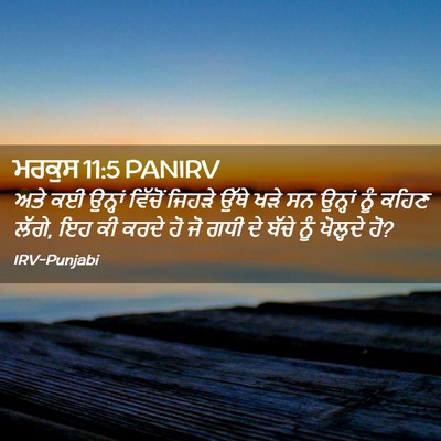 Picture 02 - ਮਰਕੁਸ 11:5 PANIRV - ਅਤੇ ਕਈ ਉਨ੍ਹਾਂ - Bible Verse Picture