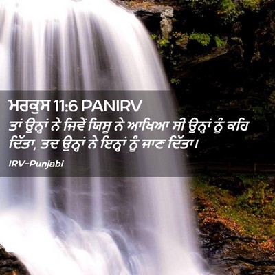 Picture 02 - ਮਰਕੁਸ 11:6 PANIRV - ਤਾਂ ਉਨ੍ਹਾਂ ਨੇ - Bible Verse Picture