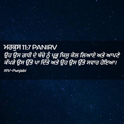 Picture 02 - ਮਰਕੁਸ 11:7 PANIRV - ਉਹ ਉਸ ਗਧੀ ਦੇ ਬੱਚੇ - Bible Verse Picture