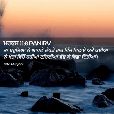 Picture 02 - ਮਰਕੁਸ 11:8 PANIRV - ਤਾਂ ਬਹੁਤਿਆਂ ਨੇ - Bible Verse Picture