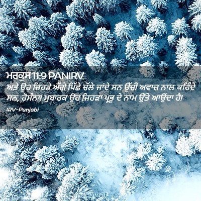 Picture 02 - ਮਰਕੁਸ 11:9 PANIRV - ਅਤੇ ਉਹ ਜਿਹੜੇ ਅੱਗੇ - Bible Verse Picture