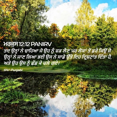 Picture 02 - ਮਰਕੁਸ 12:12 PANIRV - ਤਦ ਉਨ੍ਹਾਂ ਨੇ ਚਾਹਿਆ - Bible Verse Picture