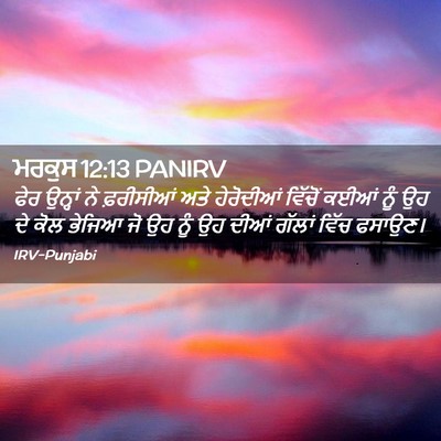 Picture 02 - ਮਰਕੁਸ 12:13 PANIRV - ਫੇਰ ਉਨ੍ਹਾਂ ਨੇ - Bible Verse Picture