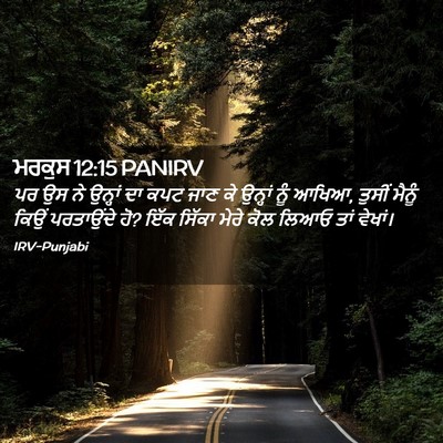 Picture 02 - ਮਰਕੁਸ 12:15 PANIRV - ਪਰ ਉਸ ਨੇ ਉਨ੍ਹਾਂ ਦਾ - Bible Verse Picture