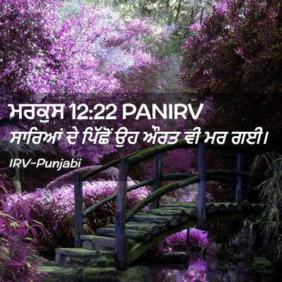 Picture 02 - ਮਰਕੁਸ 12:22 PANIRV - ਸਾਰਿਆਂ ਦੇ ਪਿੱਛੋਂ - Bible Verse Picture