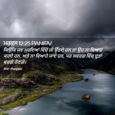 Picture 02 - ਮਰਕੁਸ 12:25 PANIRV - ਕਿਉਂਕਿ ਜਦ ਮੁਰਦਿਆਂ - Bible Verse Picture