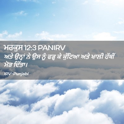 Picture 02 - ਮਰਕੁਸ 12:3 PANIRV - ਅਤੇ ਉਨ੍ਹਾਂ ਨੇ ਉਸ - Bible Verse Picture