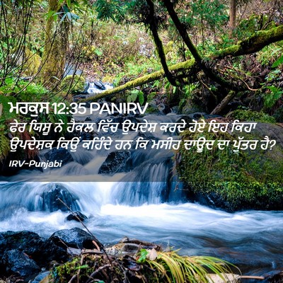 Picture 02 - ਮਰਕੁਸ 12:35 PANIRV - ਫੇਰ ਯਿਸੂ ਨੇ ਹੈਕਲ - Bible Verse Picture