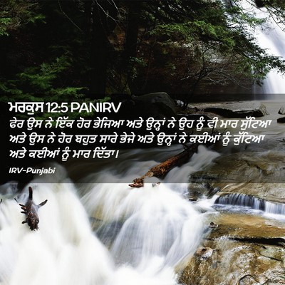Picture 02 - ਮਰਕੁਸ 12:5 PANIRV - ਫੇਰ ਉਸ ਨੇ ਇੱਕ ਹੋਰ - Bible Verse Picture