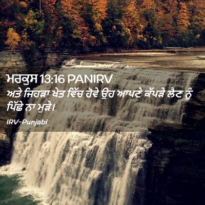 Picture 02 - ਮਰਕੁਸ 13:16 PANIRV - ਅਤੇ ਜਿਹੜਾ ਖੇਤ ਵਿੱਚ - Bible Verse Picture