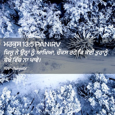 Picture 02 - ਮਰਕੁਸ 13:5 PANIRV - ਯਿਸੂ ਨੇ ਉਨ੍ਹਾਂ ਨੂੰ - Bible Verse Picture