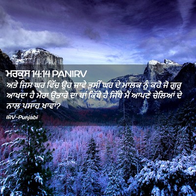 Picture 02 - ਮਰਕੁਸ 14:14 PANIRV - ਅਤੇ ਜਿਸ ਘਰ ਵਿੱਚ ਉਹ - Bible Verse Picture
