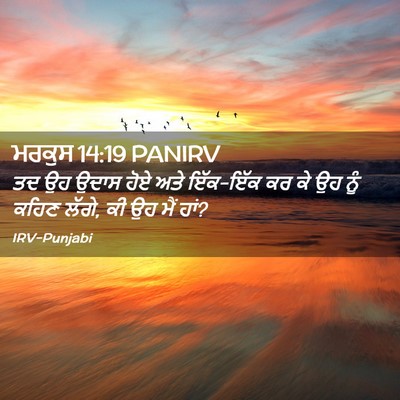 Picture 02 - ਮਰਕੁਸ 14:19 PANIRV - ਤਦ ਉਹ ਉਦਾਸ ਹੋਏ ਅਤੇ - Bible Verse Picture