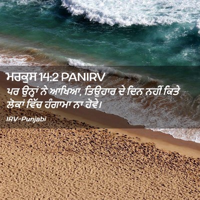 Picture 02 - ਮਰਕੁਸ 14:2 PANIRV - ਪਰ ਉਨ੍ਹਾਂ ਨੇ ਆਖਿਆ, - Bible Verse Picture