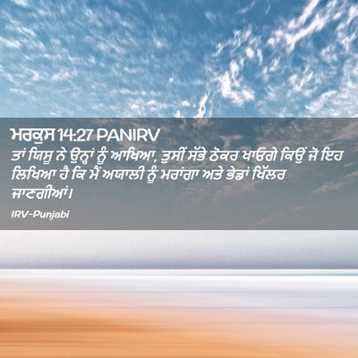 Picture 02 - ਮਰਕੁਸ 14:27 PANIRV - ਤਾਂ ਯਿਸੂ ਨੇ ਉਨ੍ਹਾਂ - Bible Verse Picture