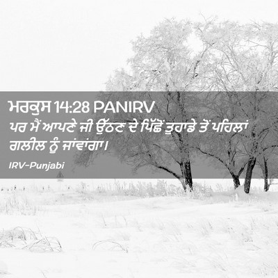 Picture 02 - ਮਰਕੁਸ 14:28 PANIRV - ਪਰ ਮੈਂ ਆਪਣੇ ਜੀ ਉੱਠਣ - Bible Verse Picture