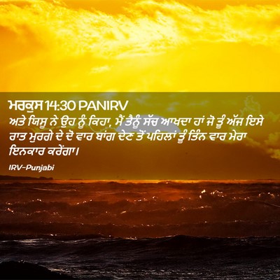 Picture 02 - ਮਰਕੁਸ 14:30 PANIRV - ਅਤੇ ਯਿਸੂ ਨੇ ਉਹ ਨੂੰ - Bible Verse Picture
