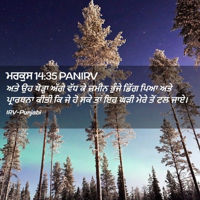 Picture 02 - ਮਰਕੁਸ 14:35 PANIRV - ਅਤੇ ਉਹ ਥੋੜ੍ਹਾ ਅੱਗੇ - Bible Verse Picture