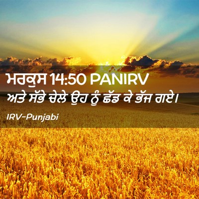 Picture 02 - ਮਰਕੁਸ 14:50 PANIRV - ਅਤੇ ਸੱਭੇ ਚੇਲੇ ਉਹ - Bible Verse Picture
