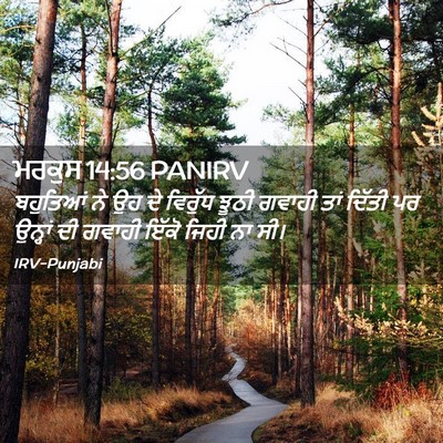 Picture 02 - ਮਰਕੁਸ 14:56 PANIRV - ਬਹੁਤਿਆਂ ਨੇ ਉਹ ਦੇ - Bible Verse Picture
