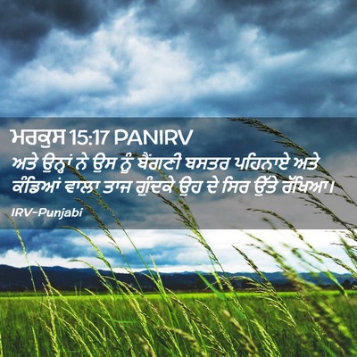 Picture 02 - ਮਰਕੁਸ 15:17 PANIRV - ਅਤੇ ਉਨ੍ਹਾਂ ਨੇ ਉਸ - Bible Verse Picture