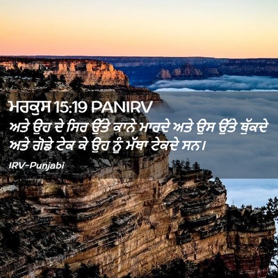 Picture 02 - ਮਰਕੁਸ 15:19 PANIRV - ਅਤੇ ਉਹ ਦੇ ਸਿਰ ਉੱਤੇ - Bible Verse Picture