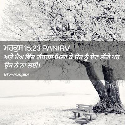 Picture 02 - ਮਰਕੁਸ 15:23 PANIRV - ਅਤੇ ਮੈਅ ਵਿੱਚ ਗੰਧਰਸ - Bible Verse Picture