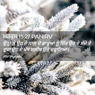 Picture 02 - ਮਰਕੁਸ 15:27 PANIRV - ਉਨ੍ਹਾਂ ਨੇ ਉਹ ਦੇ ਨਾਲ - Bible Verse Picture