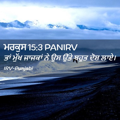 Picture 02 - ਮਰਕੁਸ 15:3 PANIRV - ਤਾਂ ਮੁੱਖ ਜਾਜਕਾਂ ਨੇ - Bible Verse Picture
