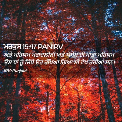 Picture 02 - ਮਰਕੁਸ 15:47 PANIRV - ਅਤੇ ਮਰਿਯਮ ਮਗਦਲੀਨੀ - Bible Verse Picture