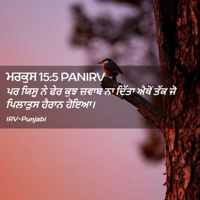 Picture 02 - ਮਰਕੁਸ 15:5 PANIRV - ਪਰ ਯਿਸੂ ਨੇ ਫੇਰ ਕੁਝ - Bible Verse Picture