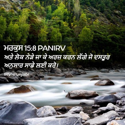 Picture 02 - ਮਰਕੁਸ 15:8 PANIRV - ਅਤੇ ਲੋਕ ਨੇੜੇ ਜਾ ਕੇ - Bible Verse Picture