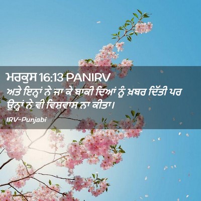 Picture 02 - ਮਰਕੁਸ 16:13 PANIRV - ਅਤੇ ਇਨ੍ਹਾਂ ਨੇ ਜਾ ਕੇ - Bible Verse Picture