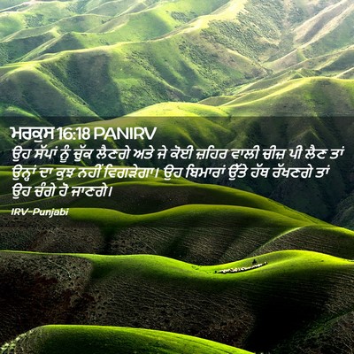 Picture 02 - ਮਰਕੁਸ 16:18 PANIRV - ਉਹ ਸੱਪਾਂ ਨੂੰ ਚੁੱਕ - Bible Verse Picture