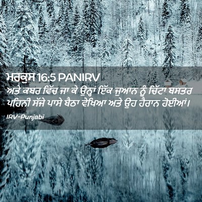 Picture 02 - ਮਰਕੁਸ 16:5 PANIRV - ਅਤੇ ਕਬਰ ਵਿੱਚ ਜਾ ਕੇ - Bible Verse Picture