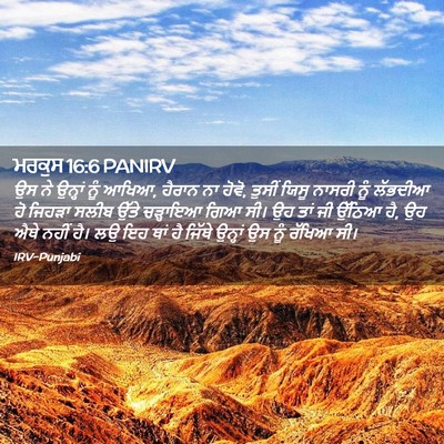 Picture 02 - ਮਰਕੁਸ 16:6 PANIRV - ਉਸ ਨੇ ਉਨ੍ਹਾਂ ਨੂੰ - Bible Verse Picture