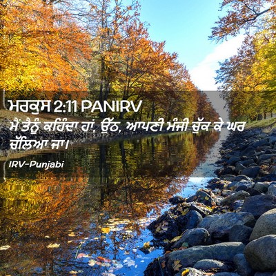 Picture 02 - ਮਰਕੁਸ 2:11 PANIRV - ਮੈਂ ਤੈਨੂੰ ਕਹਿੰਦਾ - Bible Verse Picture