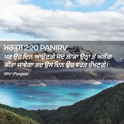 Picture 02 - ਮਰਕੁਸ 2:20 PANIRV - ਪਰ ਉਹ ਦਿਨ ਆਉਣਗੇ ਜਦ - Bible Verse Picture