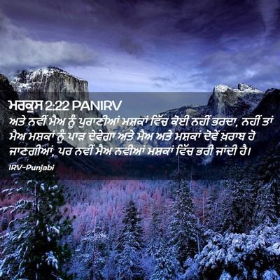 Picture 02 - ਮਰਕੁਸ 2:22 PANIRV - ਅਤੇ ਨਵੀਂ ਮੈਅ ਨੂੰ - Bible Verse Picture