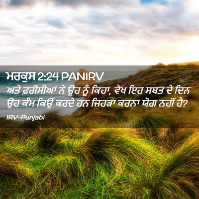 Picture 02 - ਮਰਕੁਸ 2:24 PANIRV - ਅਤੇ ਫ਼ਰੀਸੀਆਂ ਨੇ ਉਹ - Bible Verse Picture