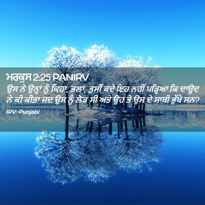 Picture 02 - ਮਰਕੁਸ 2:25 PANIRV - ਉਸ ਨੇ ਉਨ੍ਹਾਂ ਨੂੰ - Bible Verse Picture