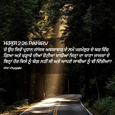 Picture 02 - ਮਰਕੁਸ 2:26 PANIRV - ਜੋ ਉਹ ਕਿਵੇਂ ਪ੍ਰਧਾਨ - Bible Verse Picture