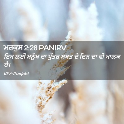 Picture 02 - ਮਰਕੁਸ 2:28 PANIRV - ਇਸ ਲਈ ਮਨੁੱਖ ਦਾ - Bible Verse Picture