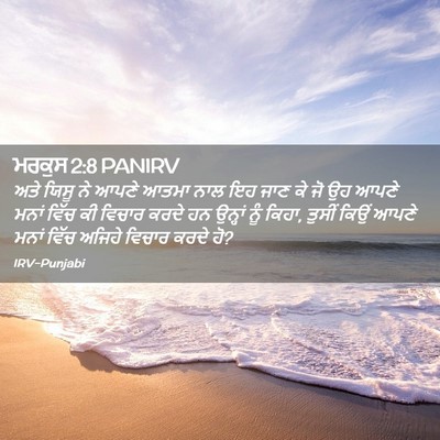 Picture 02 - ਮਰਕੁਸ 2:8 PANIRV - ਅਤੇ ਯਿਸੂ ਨੇ ਆਪਣੇ - Bible Verse Picture
