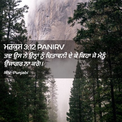 Picture 02 - ਮਰਕੁਸ 3:12 PANIRV - ਤਦ ਉਸ ਨੇ ਉਨ੍ਹਾਂ ਨੂੰ - Bible Verse Picture