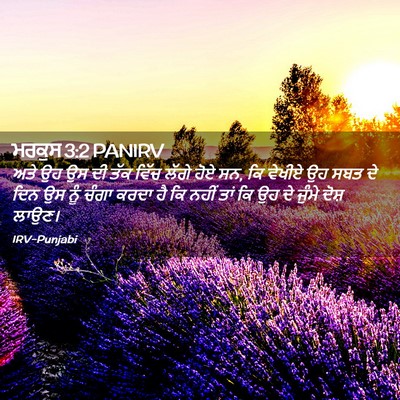Picture 02 - ਮਰਕੁਸ 3:2 PANIRV - ਅਤੇ ਉਹ ਉਸ ਦੀ ਤੱਕ - Bible Verse Picture