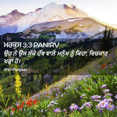 Picture 02 - ਮਰਕੁਸ 3:3 PANIRV - ਉਹ ਨੇ ਉਸ ਸੁੱਕੇ ਹੱਥ - Bible Verse Picture