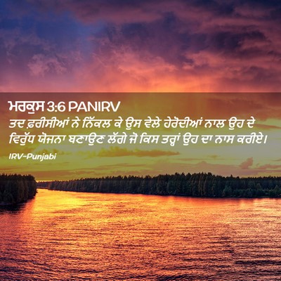 Picture 02 - ਮਰਕੁਸ 3:6 PANIRV - ਤਦ ਫ਼ਰੀਸੀਆਂ ਨੇ - Bible Verse Picture